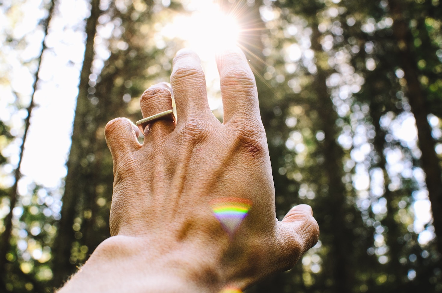 Christian Feminism: A Brief History and How It Differs from Modern Feminism